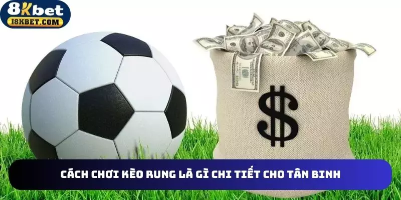 Chi tiết cách chơi kèo rung là gì cho tân binh