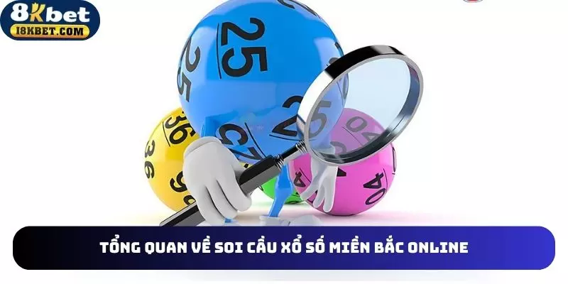 vai-dieu-co-ban-ve-soi-cau-xo-so-mien-bac-online